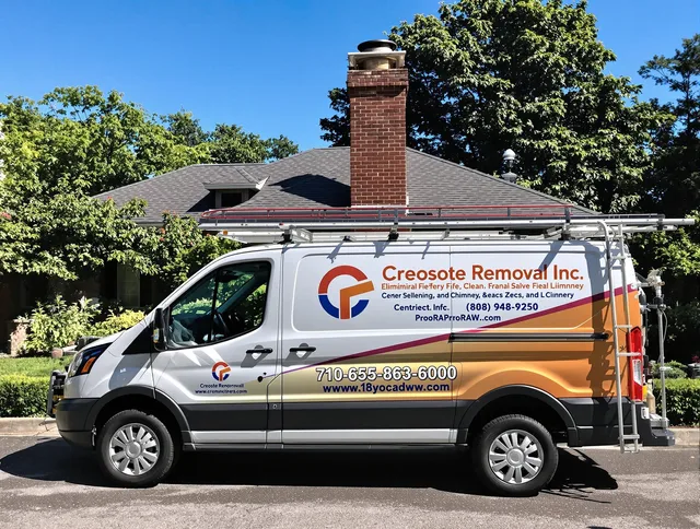 Riverview Chimney Sweep technician removing creosote safely in Riverview, FL